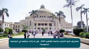 مصاريف كلية التجارة جامعة القاهرة 2025.. هل ما زالت مرتفعة في الجامعة الحكومية؟